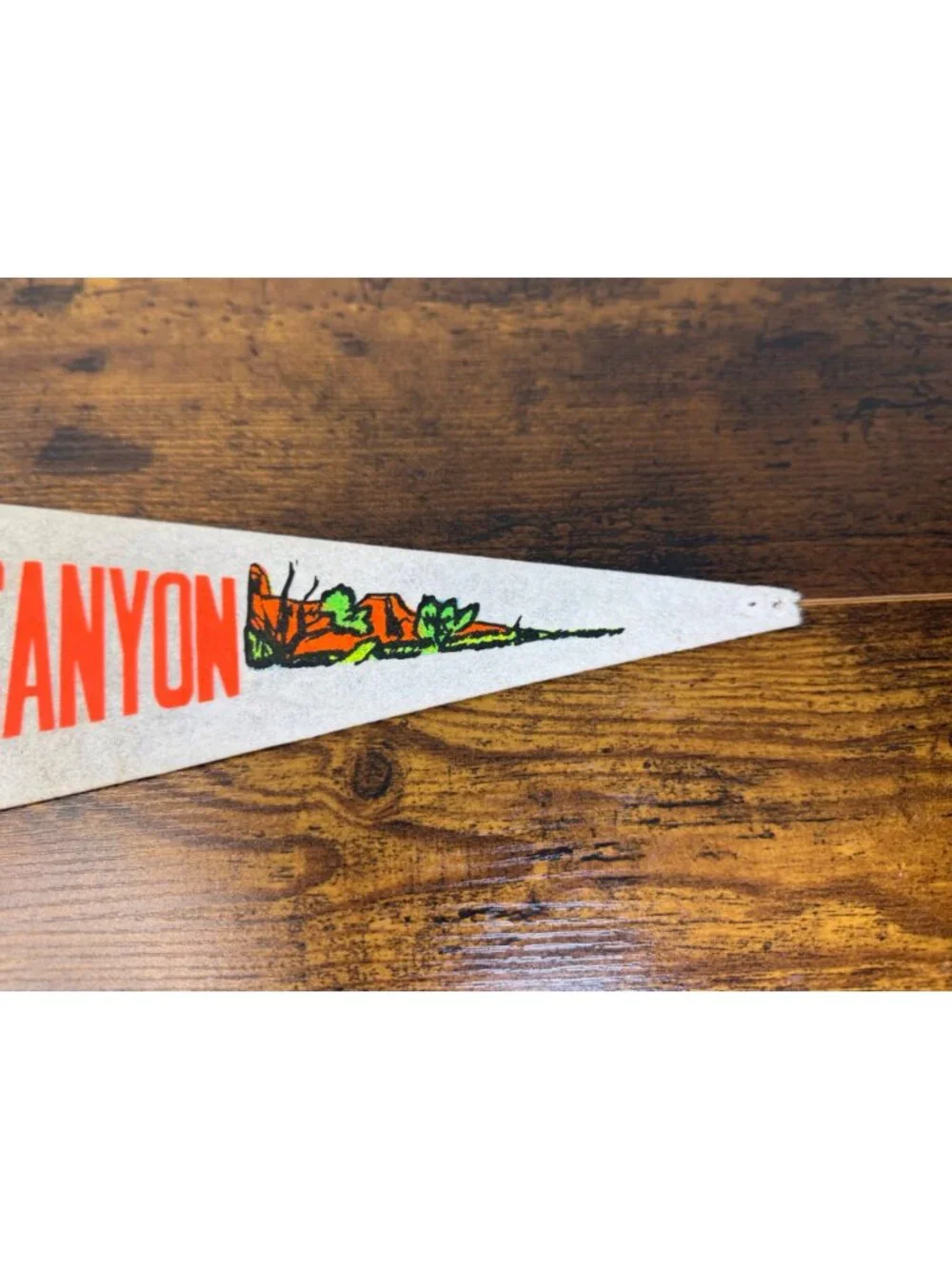 Vintage Palo Duro Canyon Texas Felt Pennant Banner 23 inches damaged tip